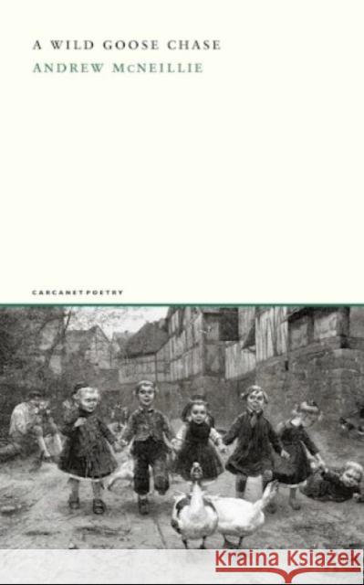 A Wild Goose Chase Andrew McNeillie 9781800175099 Carcanet Press Ltd