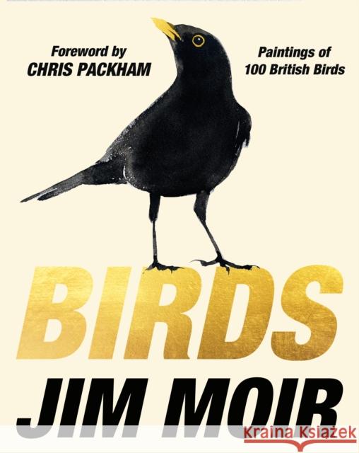 Birds: The Sunday Times Bestseller Jim Moir 9781800182028