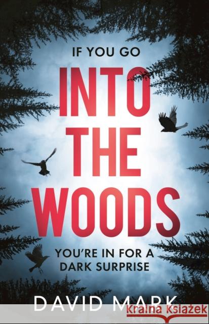Into the Woods David Mark 9781800246362 Bloomsbury Publishing PLC