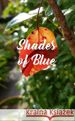 Shades of Blue Steve Jones 9781800317192 New Generation Publishing