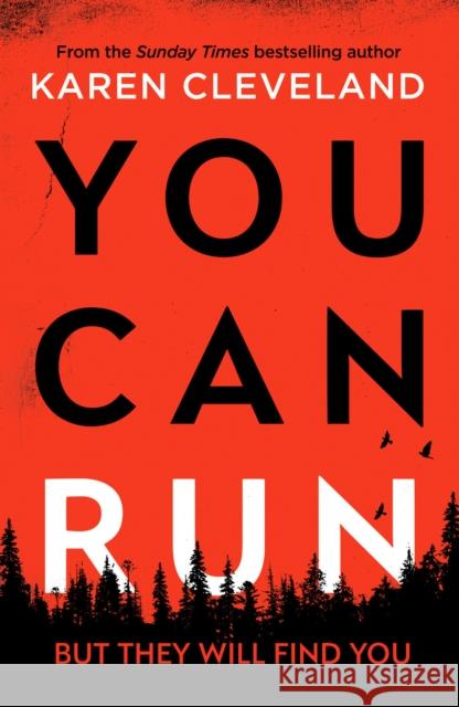 You Can Run: An unputdownable thriller Karen Cleveland 9781800327016