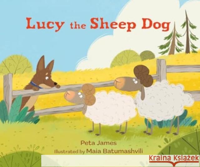 Lucy the Sheep Dog Peta James 9781800360716