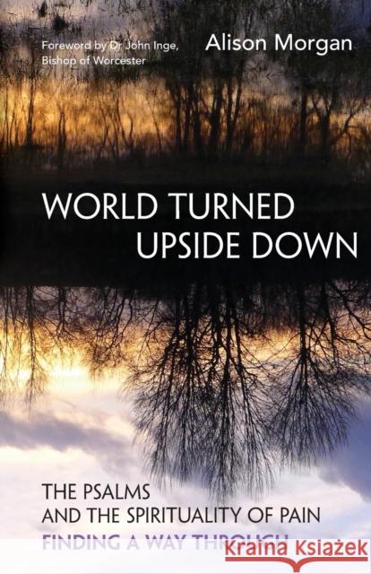 World Turned Upside Down: The Psalms and the spirituality of pain – finding a way through Alison Morgan 9781800391666