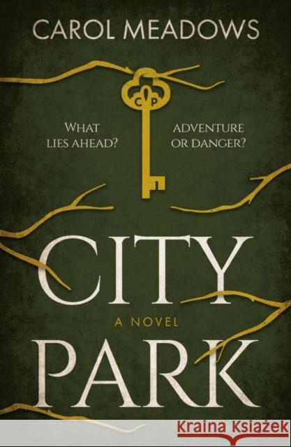 City Park Carol Meadows 9781800462205 Troubador Publishing