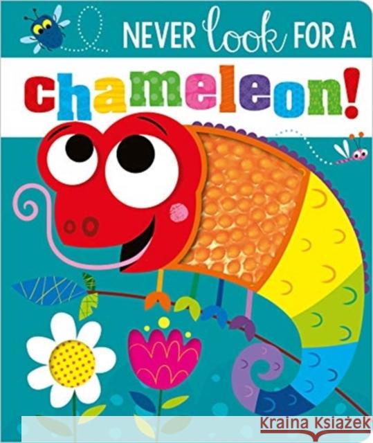 NEVER LOOK FOR A CHAMELEON! BB Rosie Greening Stuart Lynch  9781800581364 Make Believe Ideas