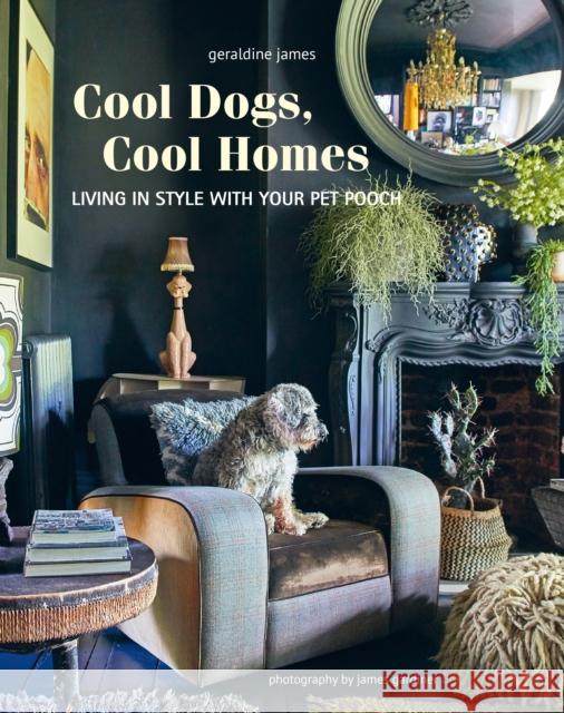 Cool Dogs, Cool Homes: Living in Style with Your Pet Pooch Geraldine James 9781800652767 Ryland, Peters & Small Ltd