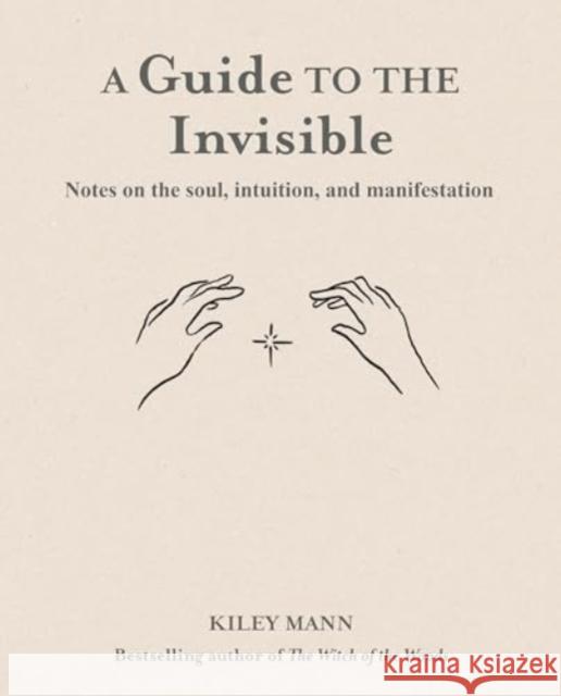 A Guide to the Invisible (cancelled) Kiley Mann 9781800653771