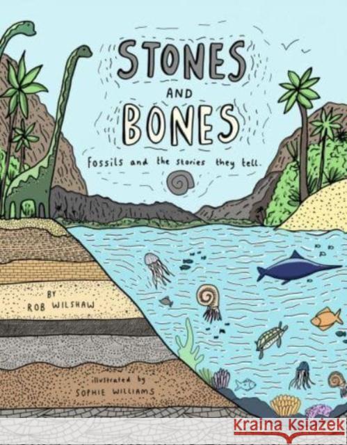 Stones and Bones: Fossils and the stories they tell Rob Wilsher 9781800660427 Cicada Books