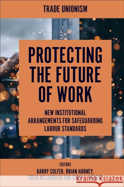 Protecting the Future of Work: New Institutional Arrangements for Safeguarding Labour Standards Colfer, Barry 9781800712492 Emerald Publishing Limited