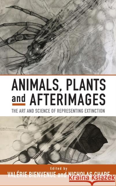 Animals, Plants and Afterimages: The Art and Science of Representing Extinction Val Bienvenue Nicholas Chare 9781800734258