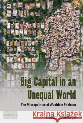Big Capital in an Unequal World: The Micropolitics of Wealth in Pakistan Rosita Armytage 9781800736337 Berghahn Books
