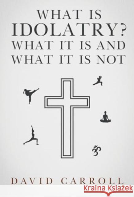 What Is Idolatry - What it is and what it is not David Carroll 9781800744424 Olympia Publishers