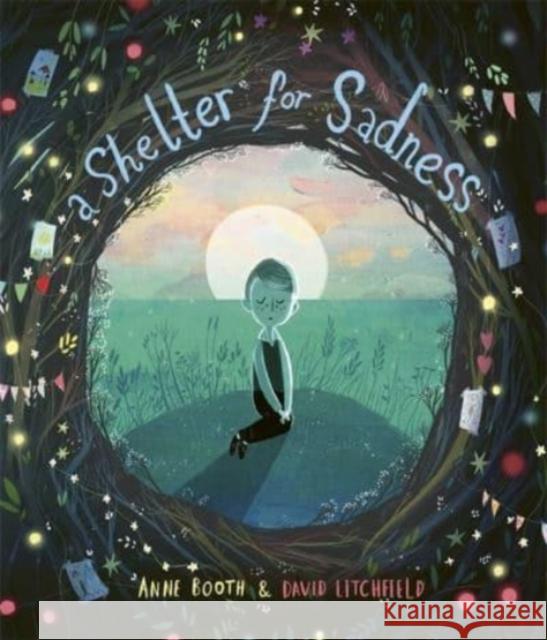 A Shelter for Sadness ANNE BOOTH 9781800780873