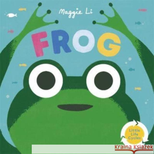Little Life Cycles: Frog Maggie Li 9781800780910 Templar Publishing