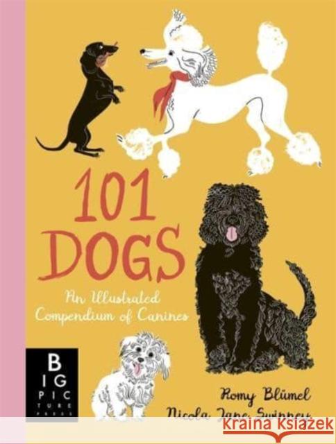 101 Dogs: An Illustrated Compendium of Canines Nicola Jane Swinney 9781800781153 Templar Publishing