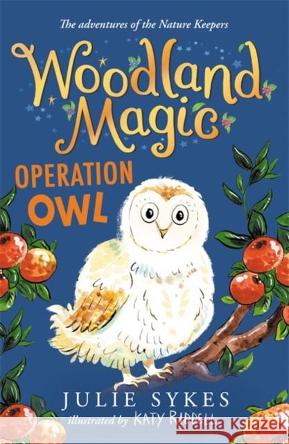Woodland Magic 4: Operation Owl Sykes, Julie 9781800781450 Templar Publishing