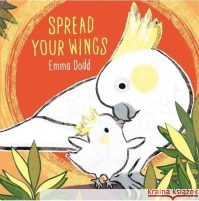 Spread Your Wings Emma Dodd 9781800781764 Templar Publishing