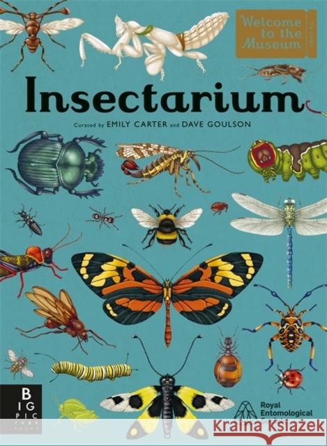 Insectarium Goulson, Dave 9781800782563 Templar Publishing