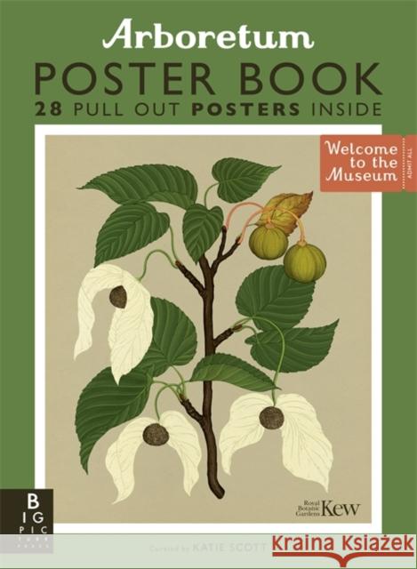 Arboretum Poster Book Royal Botanic Gardens Kew 9781800784888 Templar Publishing