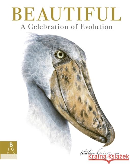 Beautiful: A Celebration of Evolution William Spring 9781800786165 Templar Publishing