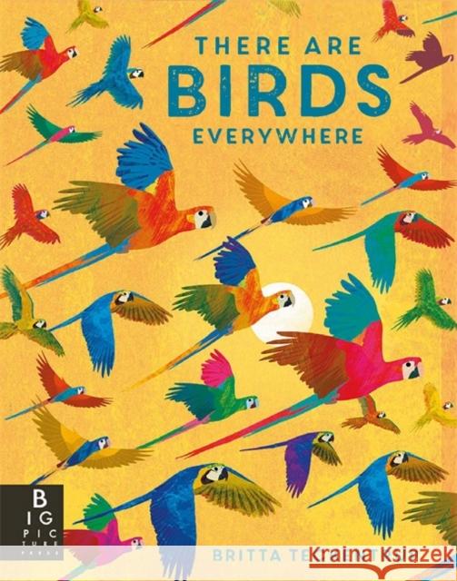 There are Birds Everywhere Camilla De La Bedoyere 9781800786585 Templar Publishing