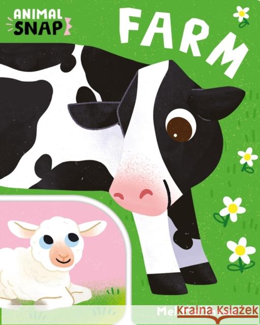 Animal Snap: Farm Ruth Symons 9781800788268