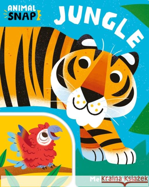 Animal Snap: Jungle Ruth Symons 9781800788275