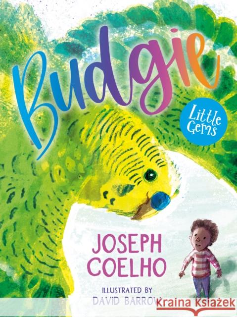 Budgie Joseph Coelho 9781800901407 Barrington Stoke Ltd