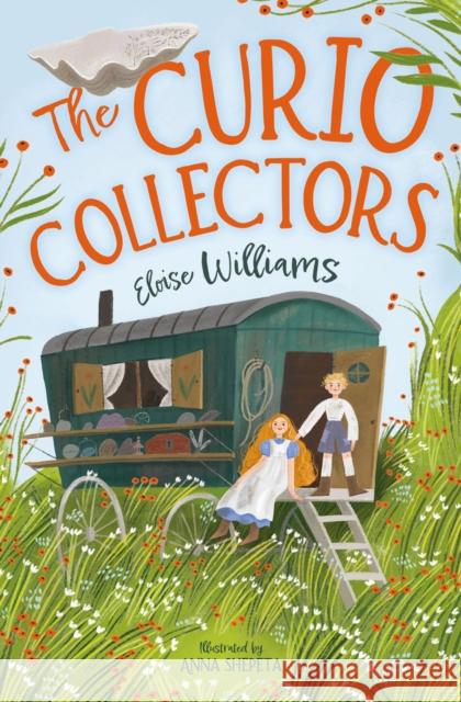 The Curio Collectors Eloise Williams 9781800902008 Barrington Stoke Ltd