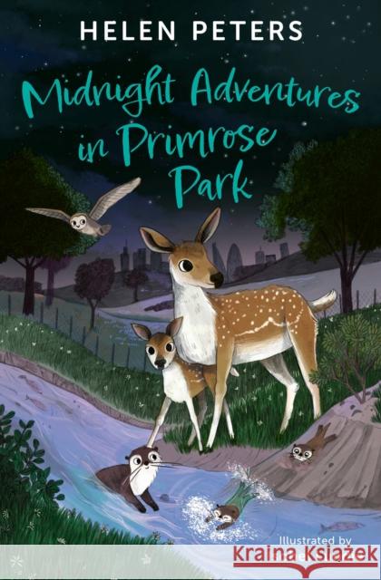Midnight Adventures in Primrose Park Helen Peters 9781800902572 Barrington Stoke