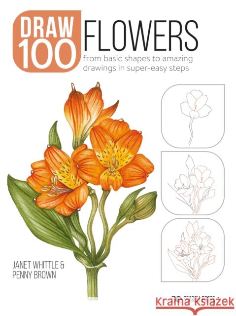 Draw 100: Flowers: From Basic Shapes to Amazing Drawings in Super-Easy Steps Penny Brown 9781800920255 Search Press Ltd