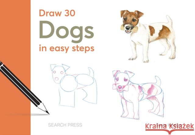 Draw 30: Dogs: In Easy Steps Susie Hodge 9781800921849 Search Press Ltd