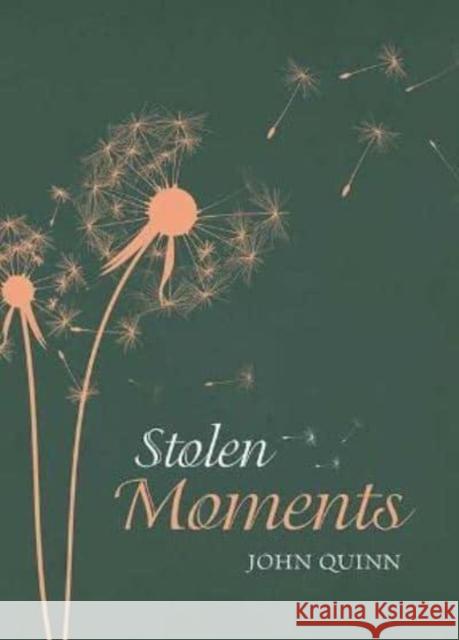 Stolen Moments John Quinn 9781800970021 Veritas