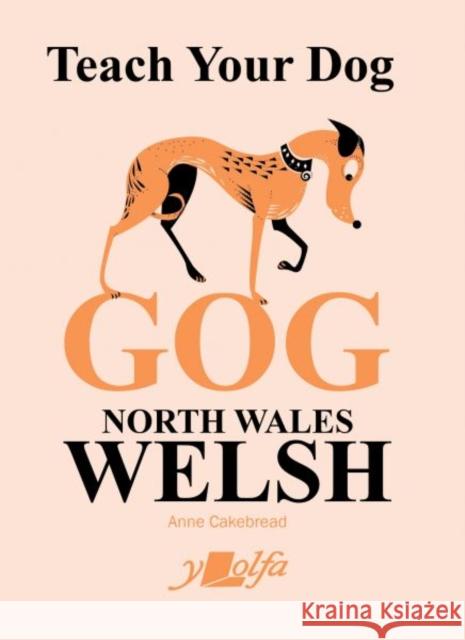 Teach Your Dog Gog: North Wales Welsh Anne Cakebread Anne Cakebread 9781800991828 Y Lolfa