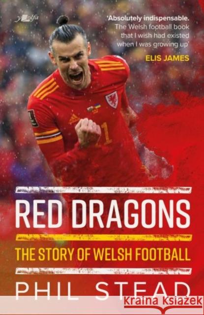 Red Dragons - The Story of Welsh Football: New Expanded Edition Phil Stead 9781800992917