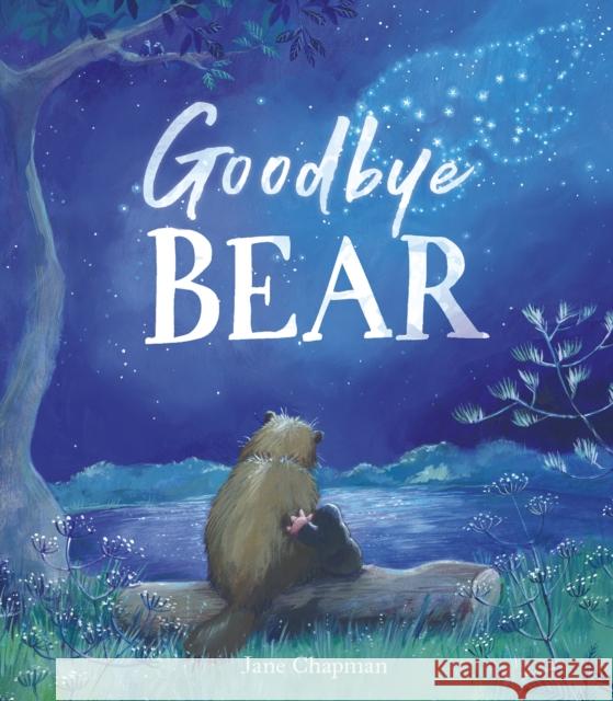 Goodbye Bear  9781801041720 Little Tiger Press Group