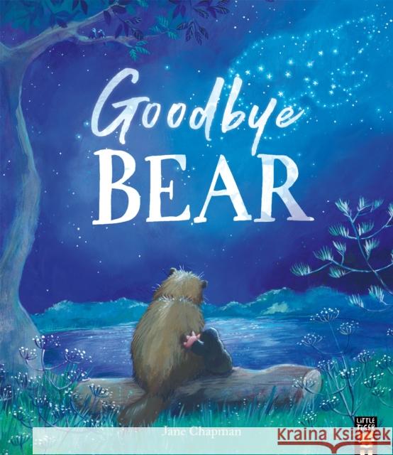 Goodbye Bear Jane Chapman 9781801041737