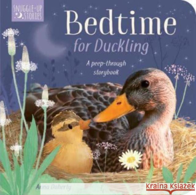 Bedtime for Duckling: A peek-through storybook Amelia Hepworth 9781801041843