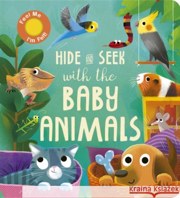 Hide and Seek with the Baby Animals Molly Littleboy 9781801043533