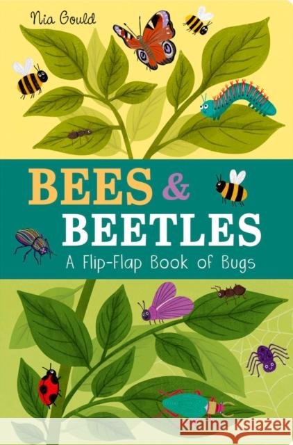 Bees & Beetles: A Flip-Flap Book of Bugs Molly Littleboy 9781801044585 Little Tiger Press Group