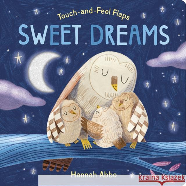 Touch-and-Feel Flaps: Sweet Dreams Becky Davies 9781801046077