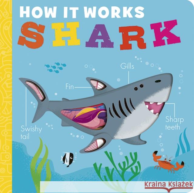 How it Works: Shark Molly Littleboy 9781801046091