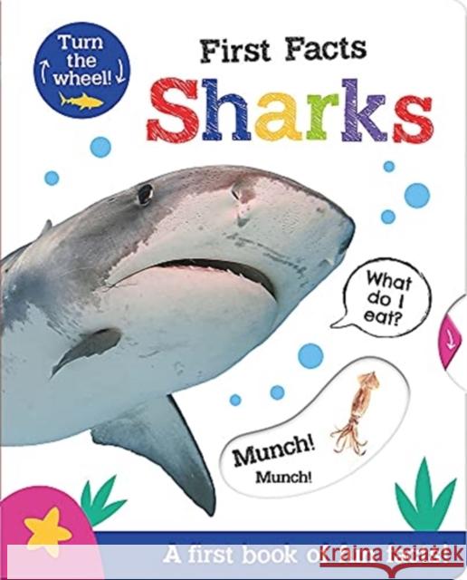 First Facts Sharks Bethany Carr Georgie Taylor 9781801050425 Imagine That Publishing Ltd