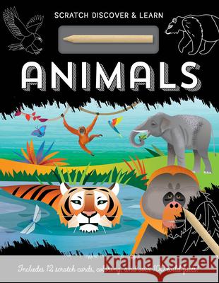 Animals Kit Elliot Amanda Shufflebotham 9781801051323 Imagine That