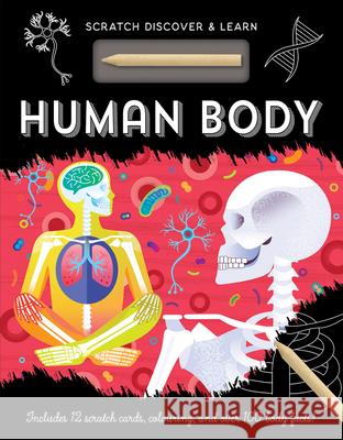 Human Body Amanda Shufflebotham Susan Mayes 9781801051347 Imagine That