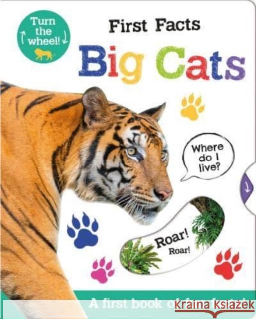 First Facts Big Cats Georgie Taylor, Bethany Carr 9781801052474