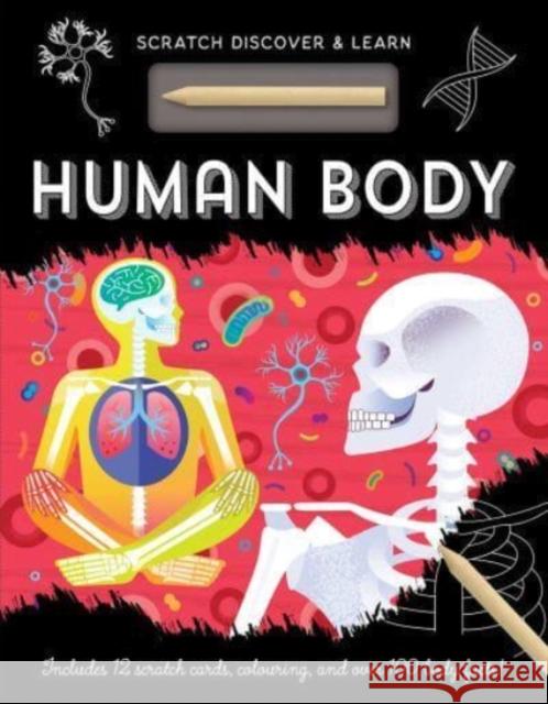 Human Body Susan Mayes 9781801052511