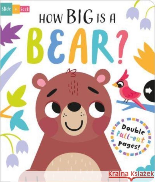 How Big is a Bear? Lisa Regan 9781801055529