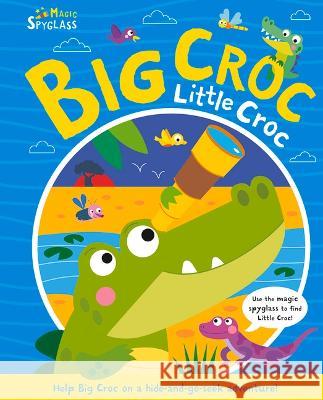 Big Croc Little Croc Katie Button Kev Payne 9781801055574 Two Windmills