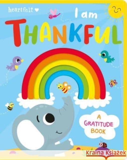 I am Thankful Lou Treleaven 9781801055703 Gemini Books Group Ltd